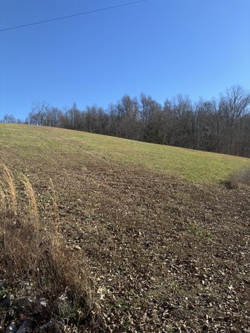 557 Ward Hollow Road, Shelbyville, TN 37160