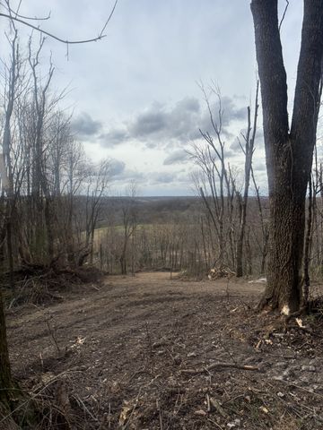 557 Ward Hollow Road, Shelbyville, TN 37160