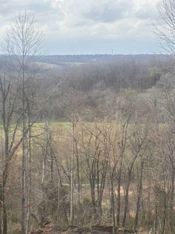 557 Ward Hollow Road, Shelbyville, TN 37160