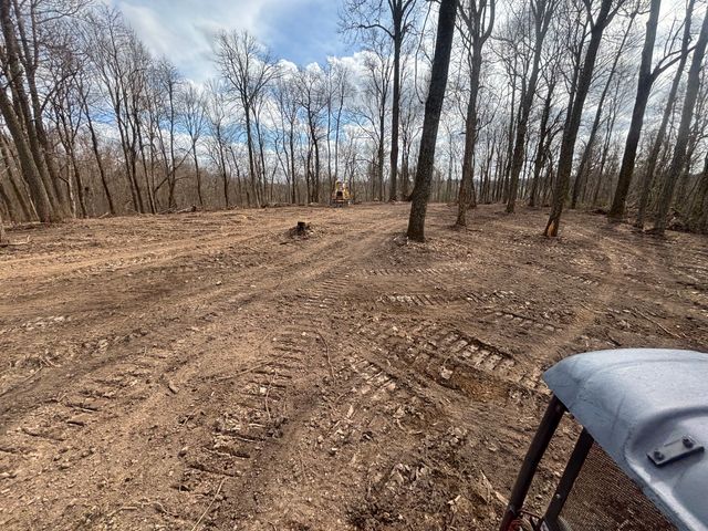 557 Ward Hollow Road, Shelbyville, TN 37160