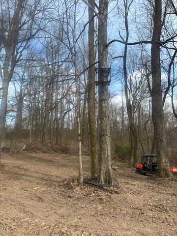557 Ward Hollow Road, Shelbyville, TN 37160