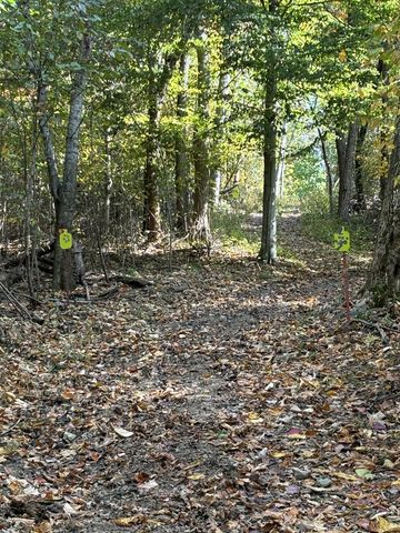 557 Ward Hollow Road, Shelbyville, TN 37160