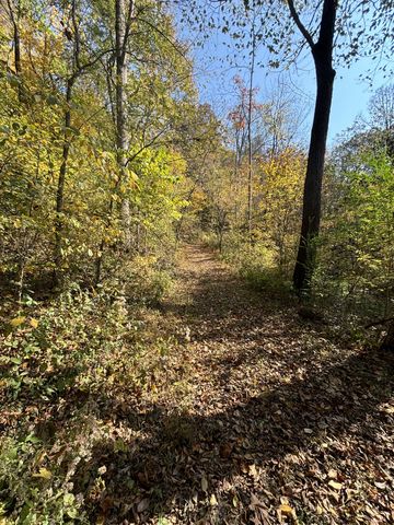 557 Ward Hollow Road, Shelbyville, TN 37160