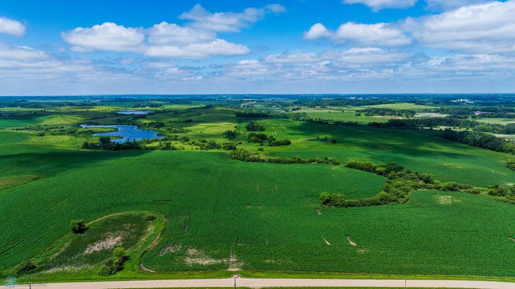 TBD 370 Street, Erhards Grove Twp, MN 56534