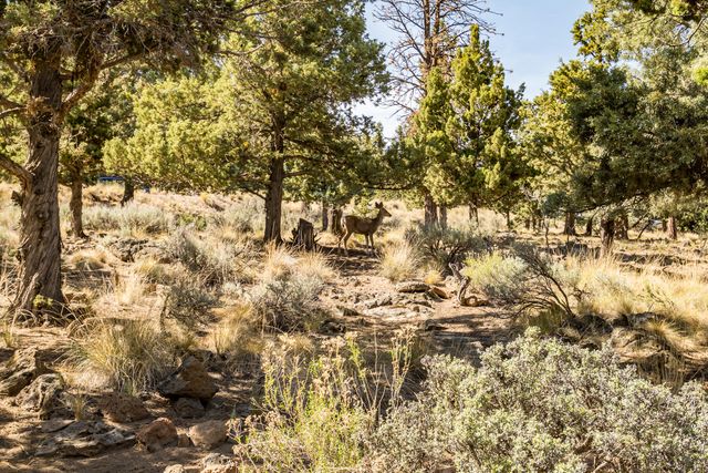 2863 NW Fairway Heights Drive, Bend, OR 97703
