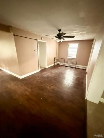 307 N 46th Street, Belleville, IL 62226