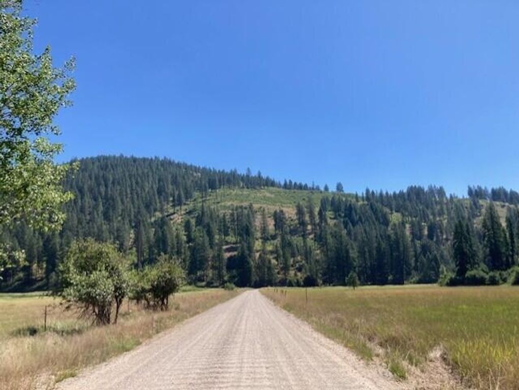 25XX HALL CREEK Rd, Inchelium, WA 99138