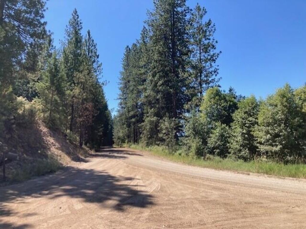 25XX HALL CREEK Rd, Inchelium, WA 99138 photo 13