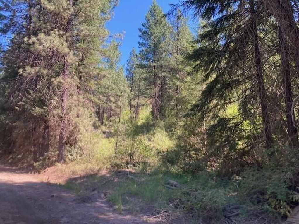 25XX HALL CREEK Rd, Inchelium, WA 99138 photo 15