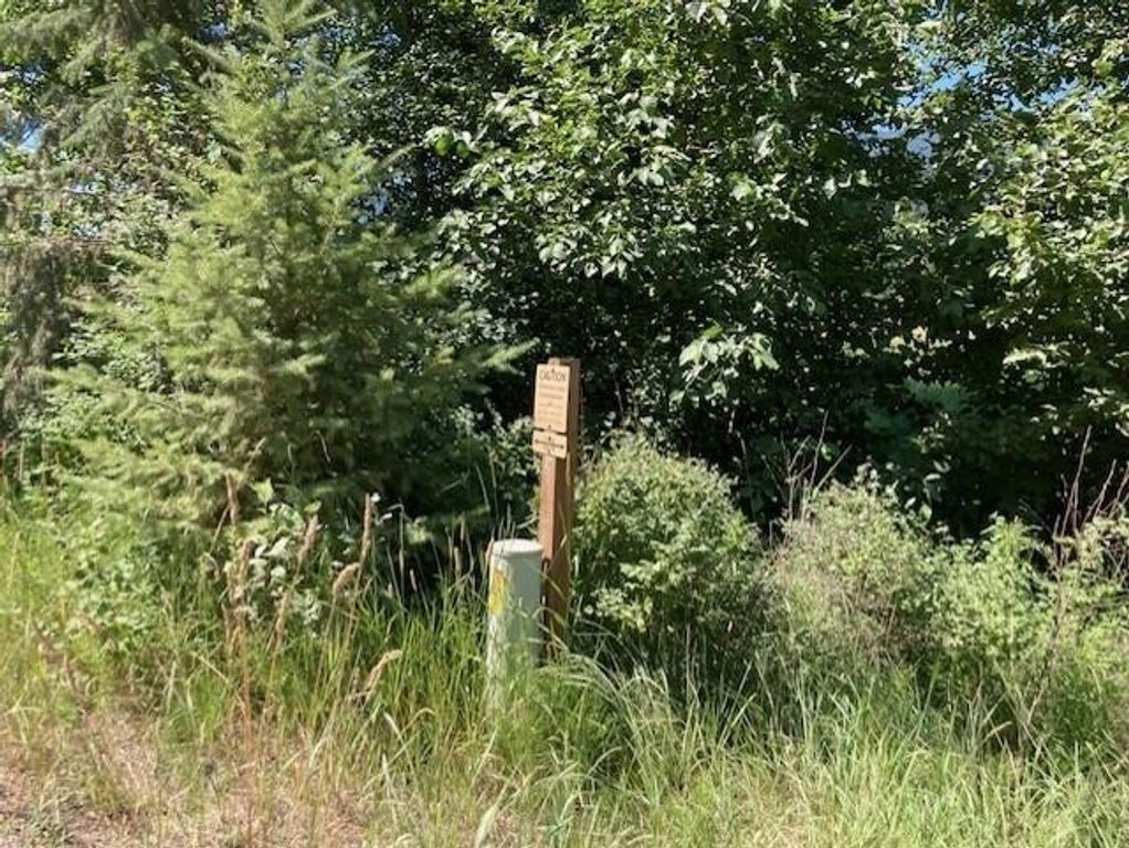 25XX HALL CREEK Rd, Inchelium, WA 99138 photo 16