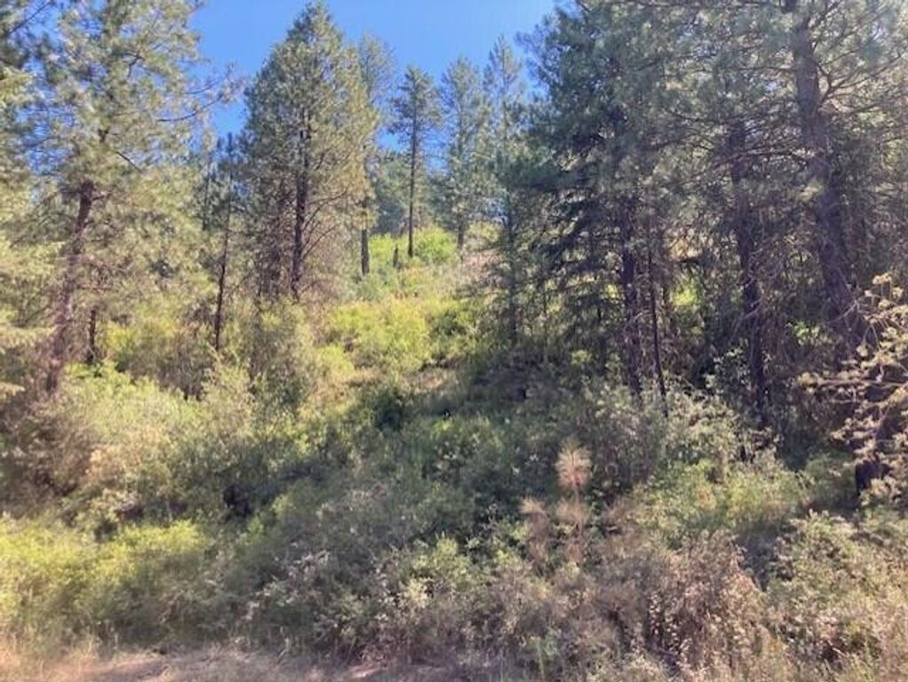 25XX HALL CREEK Rd, Inchelium, WA 99138 photo 17