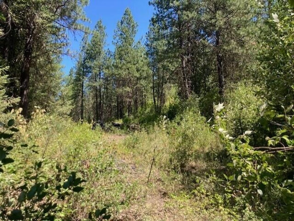 25XX HALL CREEK Rd, Inchelium, WA 99138 photo 18