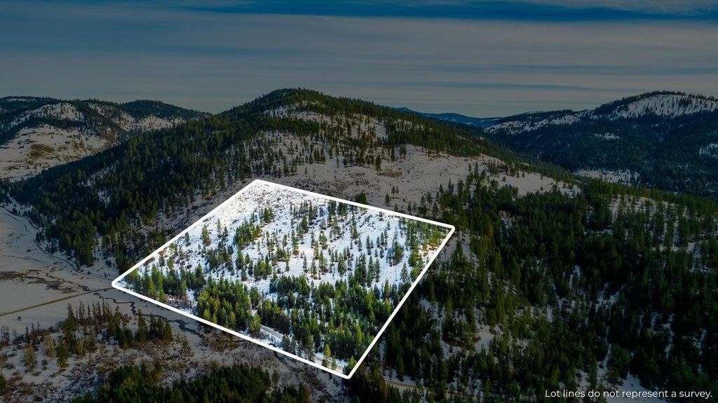 25XX HALL CREEK Rd, Inchelium, WA 99138 photo 20