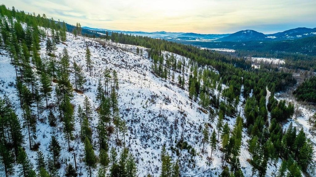 25XX HALL CREEK Rd, Inchelium, WA 99138 photo 23