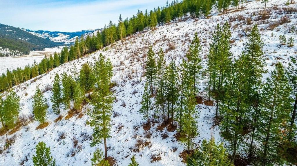 25XX HALL CREEK Rd, Inchelium, WA 99138 photo 24