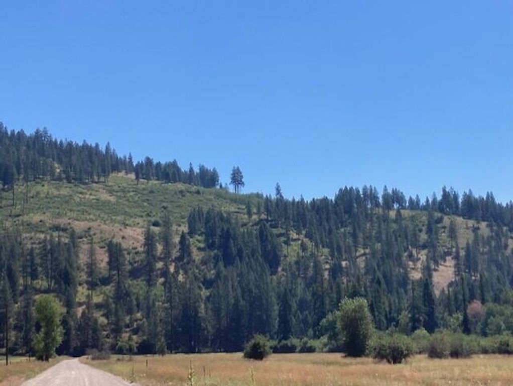 25XX HALL CREEK Rd, Inchelium, WA 99138 photo 5