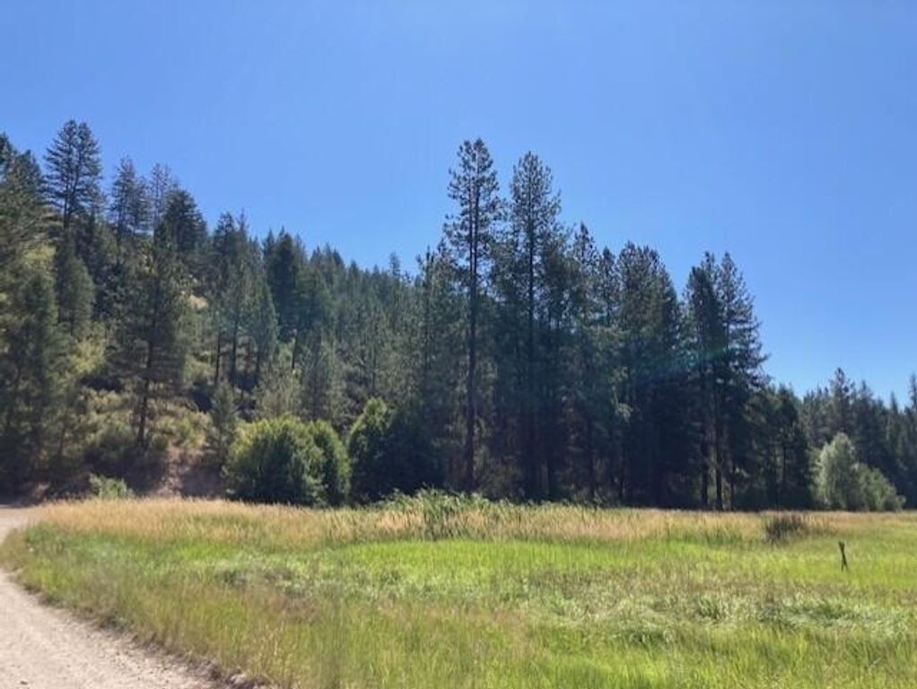 25XX HALL CREEK Rd, Inchelium, WA 99138 photo 6