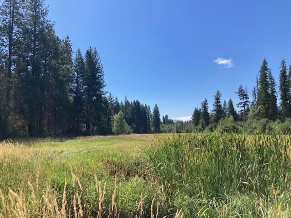 25XX HALL CREEK Rd, Inchelium, WA 99138 photo 7