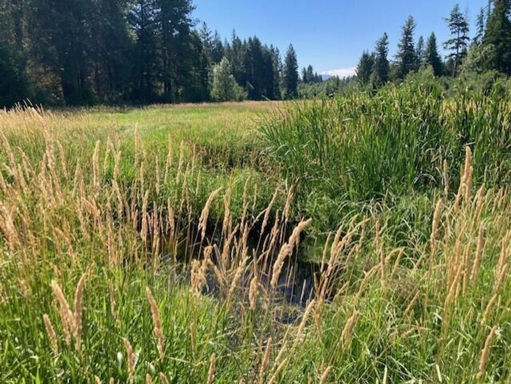 25XX HALL CREEK Rd, Inchelium, WA 99138 photo 8