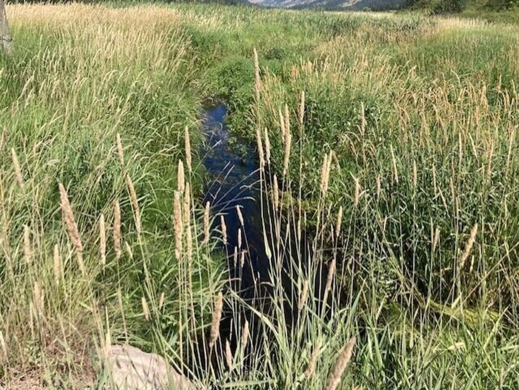 25XX HALL CREEK Rd, Inchelium, WA 99138 photo 9