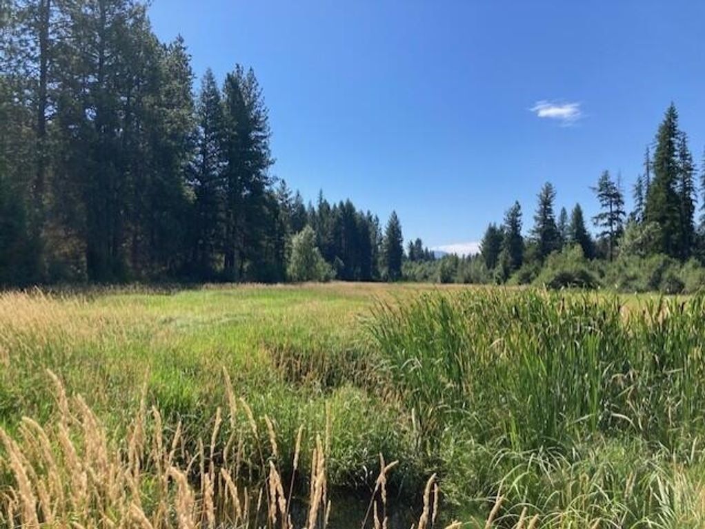 25XX HALL CREEK Rd, Inchelium, WA 99138 photo 10