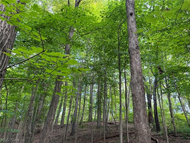 3050 State Road, Cuyahoga Falls, OH 44223