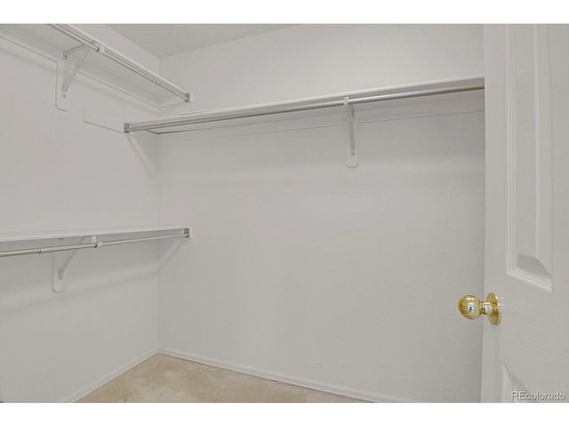 1239 N Davenport Ct, Erie, CO 80516