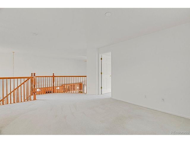 1239 N Davenport Ct, Erie, CO 80516