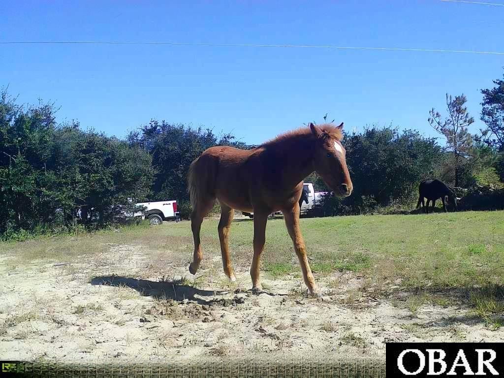 Image 3 of property listing at 2126 Sandpiper Road Lot 209, Corolla, NC 27927
