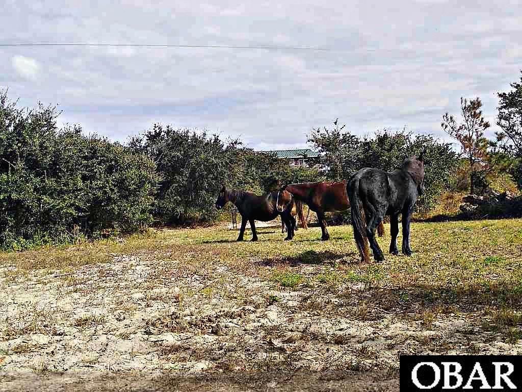 Image 4 of property listing at 2126 Sandpiper Road Lot 209, Corolla, NC 27927