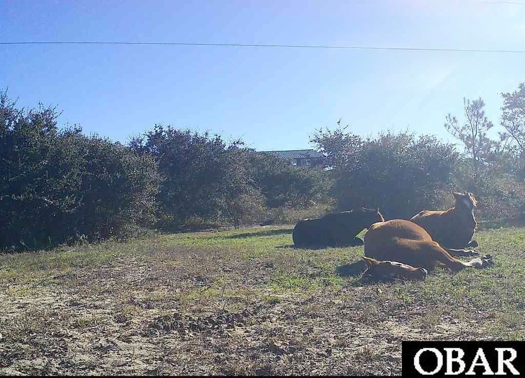 Image 5 of property listing at 2126 Sandpiper Road Lot 209, Corolla, NC 27927