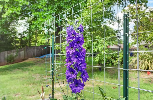 8882 Evening Star Ct, Orangevale, CA 95662