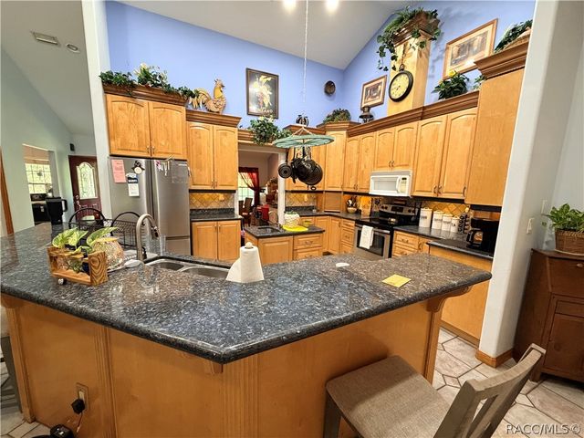 1671 E Amberjack Drive, Hernando, FL 34442