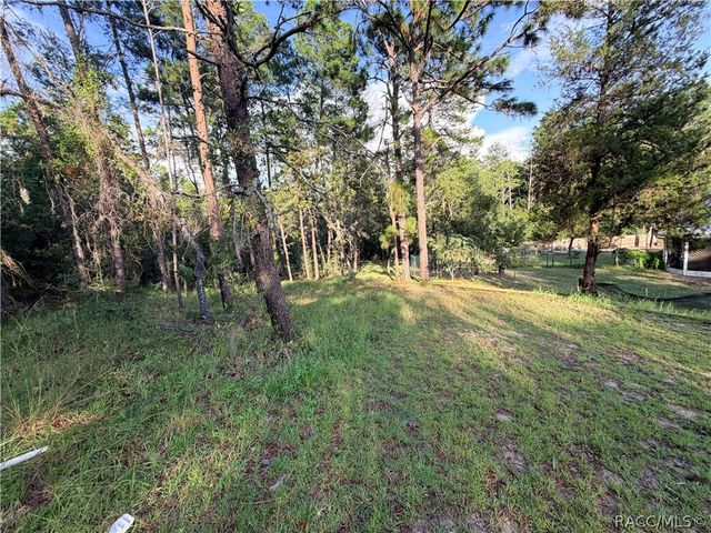 1671 E Amberjack Drive, Hernando, FL 34442
