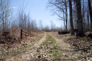 XXX E Beauregard Lake Road, Gordon, WI 54838