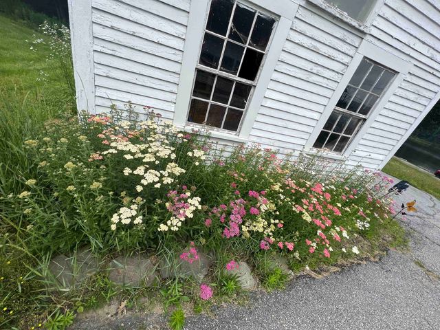 36 River Street, Greenville, NH 03048