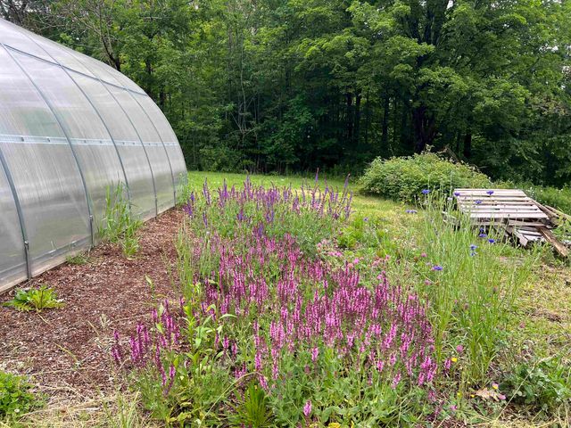 36 River Street, Greenville, NH 03048