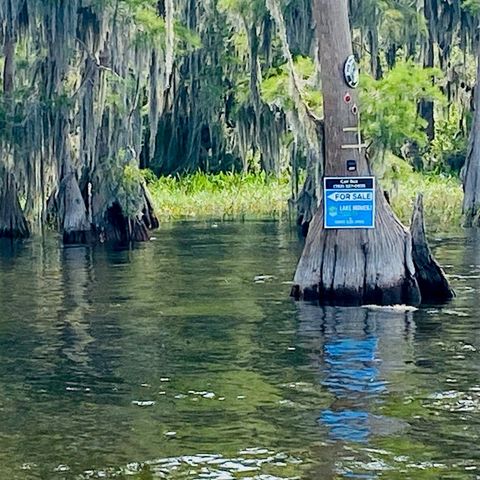 7526 NE 221ST STREET, Melrose, FL 32666