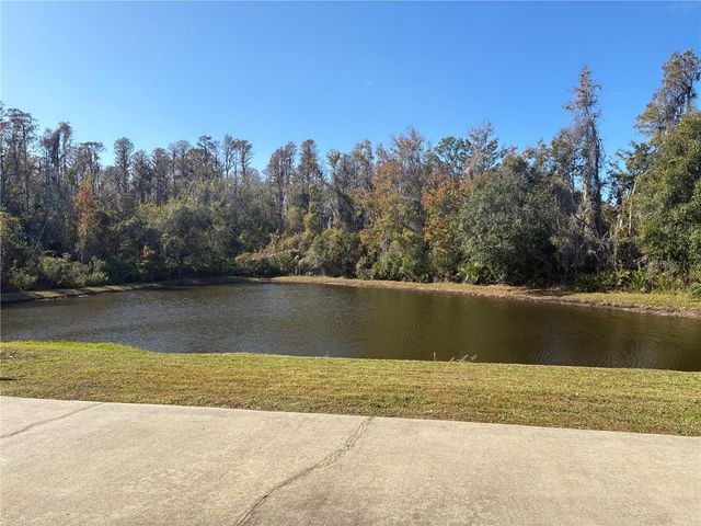 31318 HEATHERSTONE DR, Wesley Chapel, FL 33543