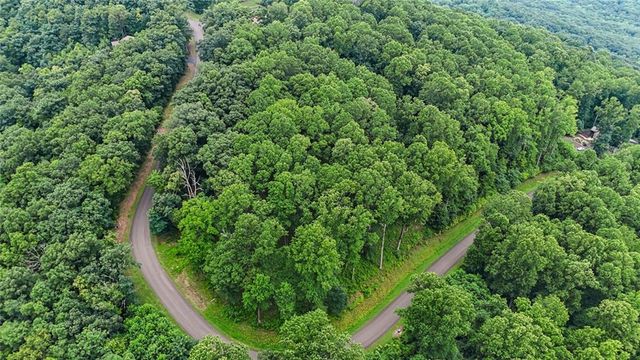 LT 296 Andes Ridge, Ellijay, GA 30536