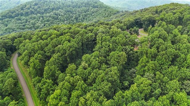 LT 296 Andes Ridge, Ellijay, GA 30536