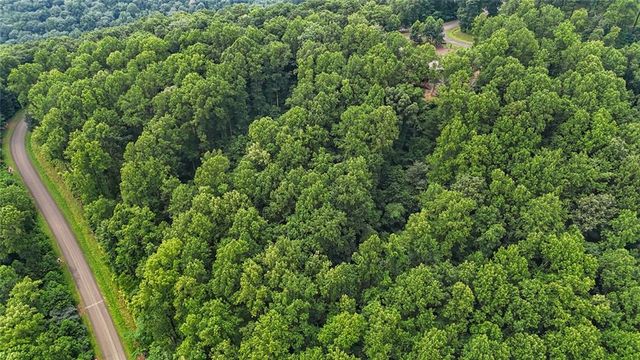 LT 296 Andes Ridge, Ellijay, GA 30536