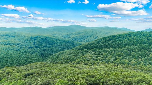 LT 296 Andes Ridge, Ellijay, GA 30536