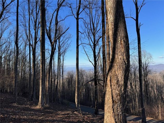 LT 296 Andes Ridge, Ellijay, GA 30536