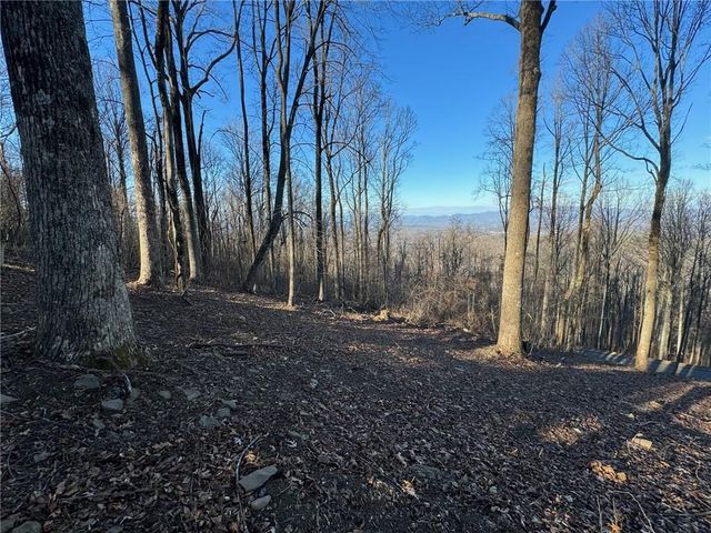 LT 296 Andes Ridge, Ellijay, GA 30536