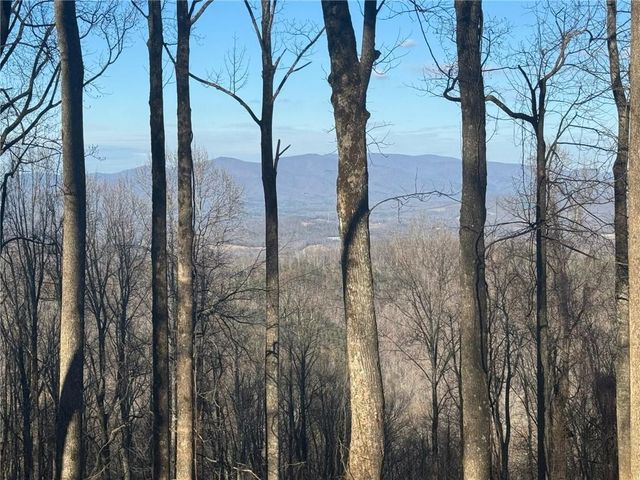 LT 296 Andes Ridge, Ellijay, GA 30536