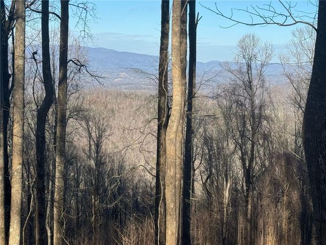 LT 296 Andes Ridge, Ellijay, GA 30536