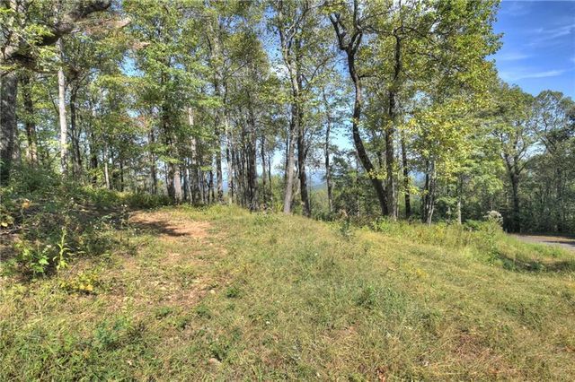LT 296 Andes Ridge, Ellijay, GA 30536
