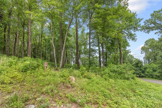 LT 296 Andes Ridge, Ellijay, GA 30536