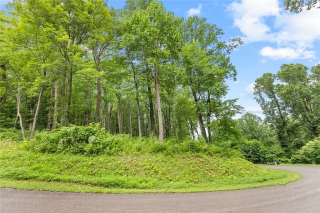 LT 296 Andes Ridge, Ellijay, GA 30536